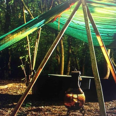 Magical Forest Yurt Sturry Eksteriør bilde