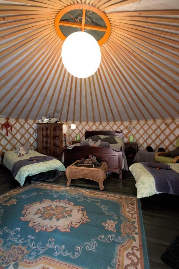 Magical Forest Yurt Sturry Eksteriør bilde