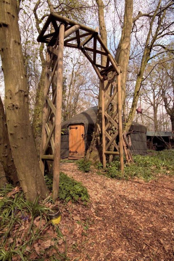 Magical Forest Yurt Sturry Eksteriør bilde