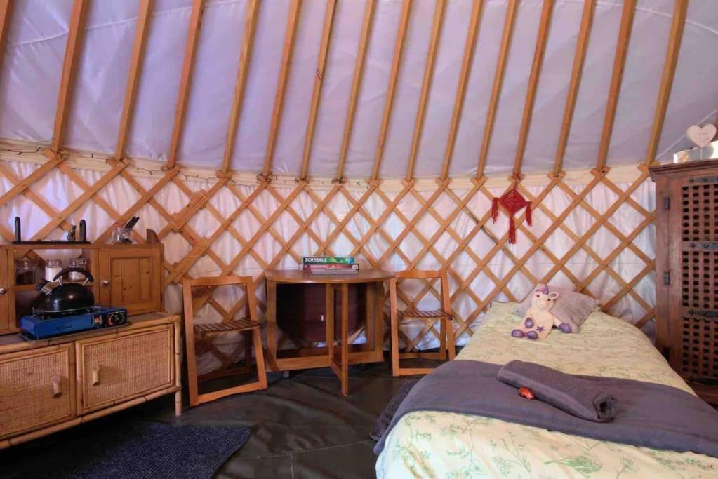 Magical Forest Yurt Sturry Eksteriør bilde