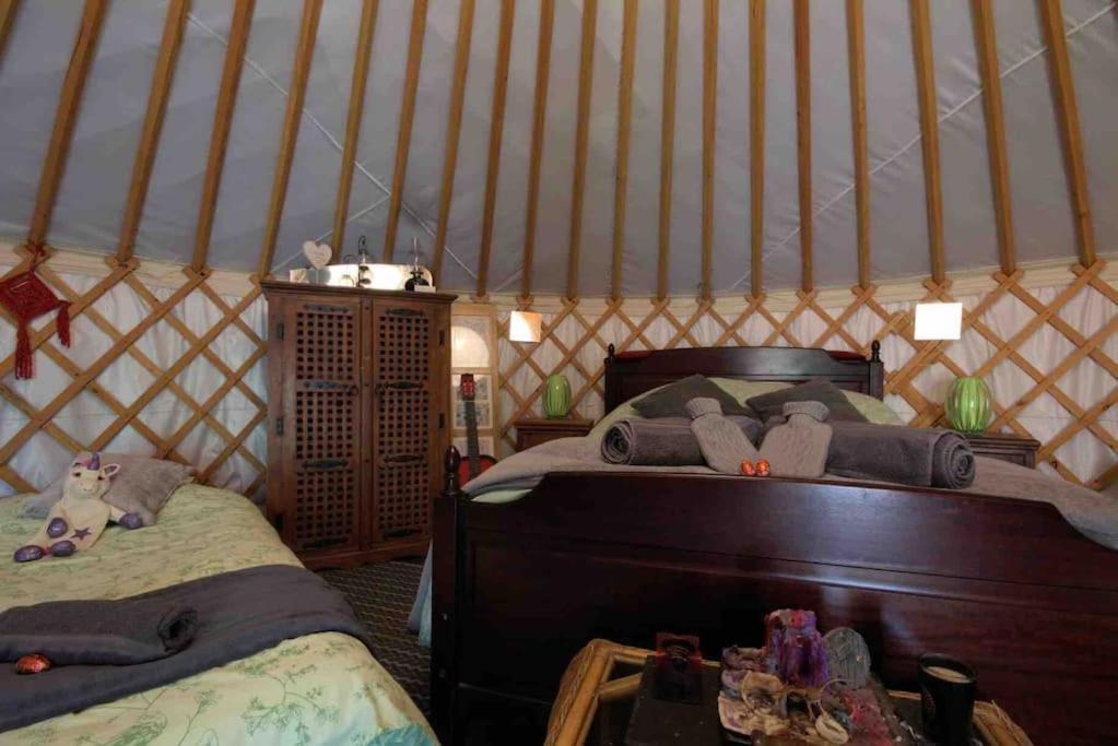 Magical Forest Yurt Sturry Eksteriør bilde