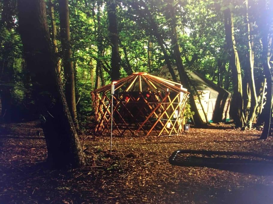 Magical Forest Yurt Sturry Eksteriør bilde