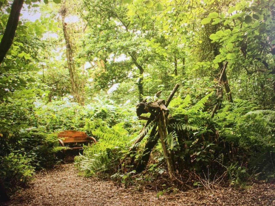 Magical Forest Yurt Sturry Eksteriør bilde