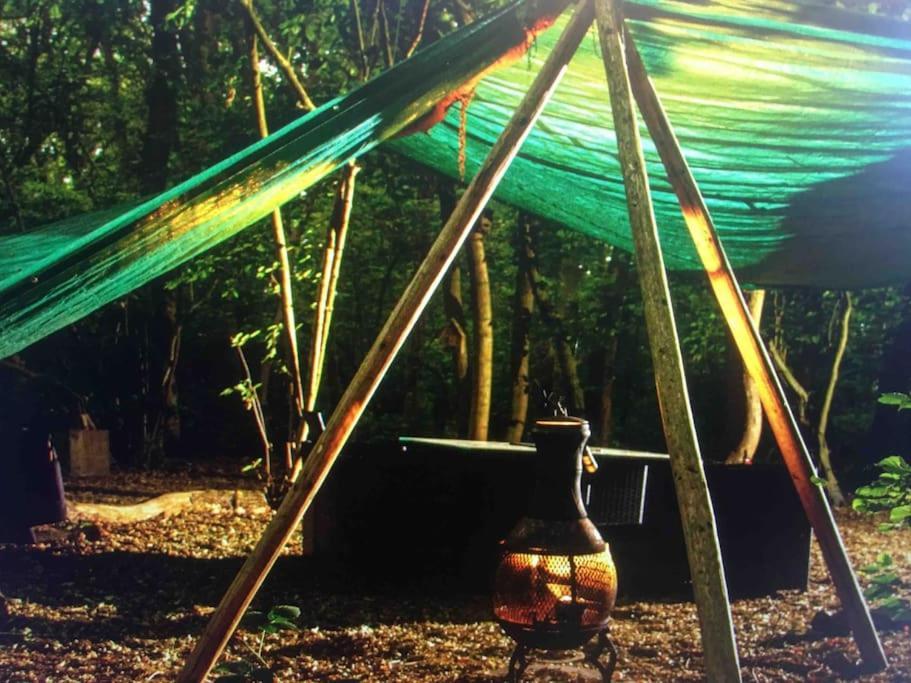Magical Forest Yurt Sturry Eksteriør bilde