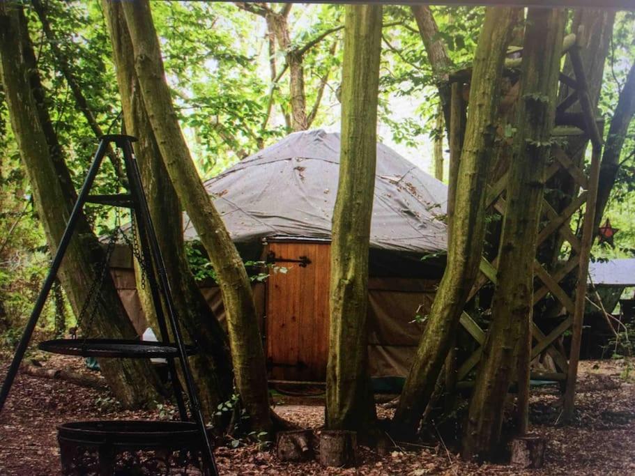Magical Forest Yurt Sturry Eksteriør bilde