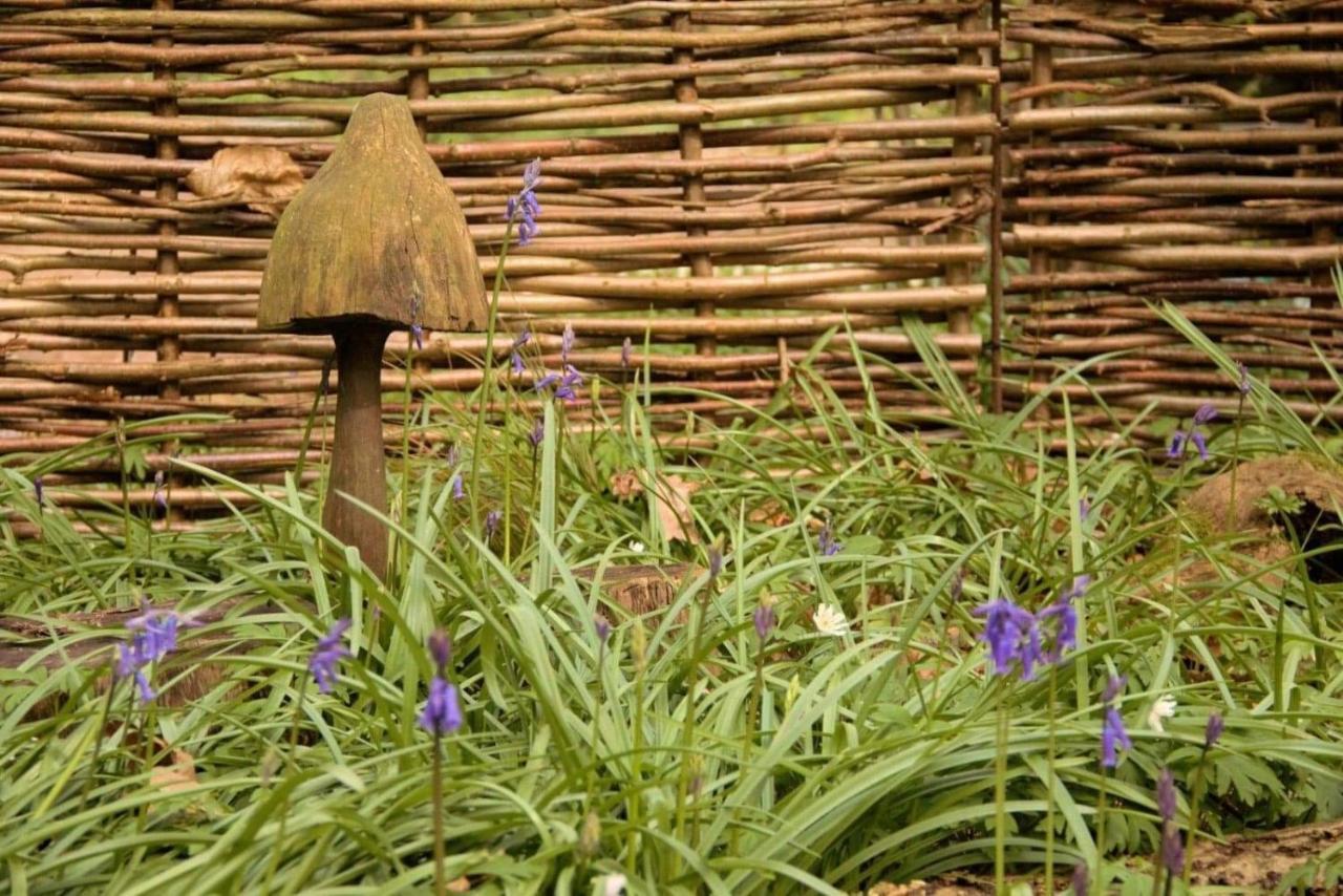 Magical Forest Yurt Sturry Eksteriør bilde