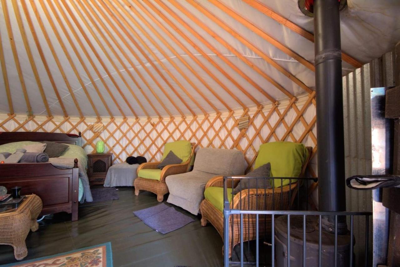 Magical Forest Yurt Sturry Eksteriør bilde
