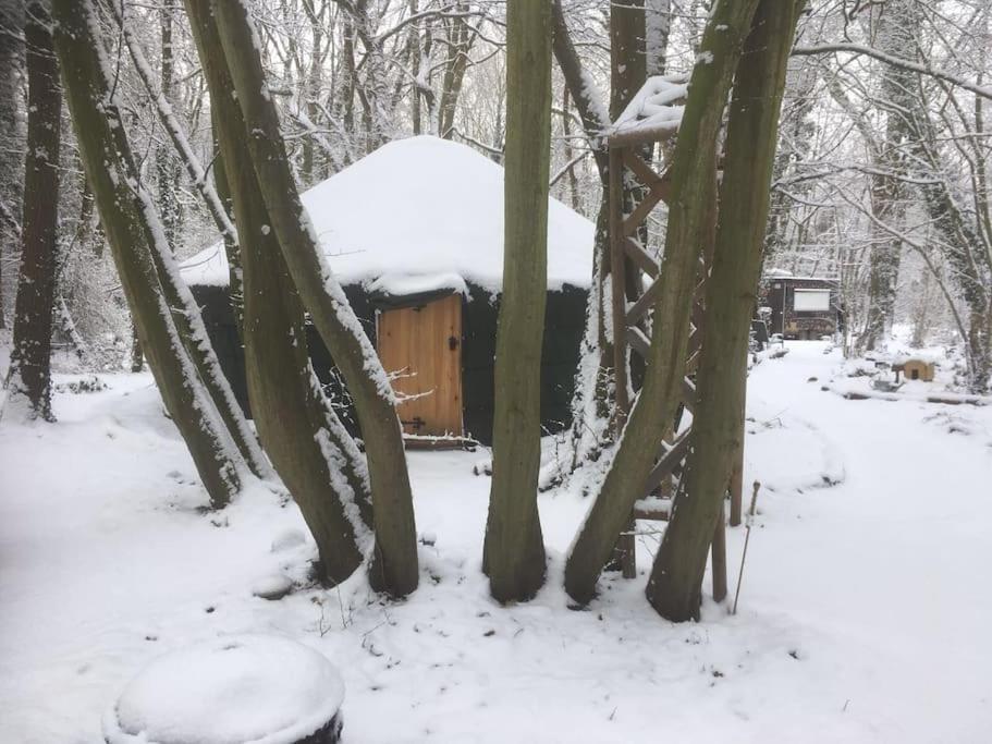 Magical Forest Yurt Sturry Eksteriør bilde