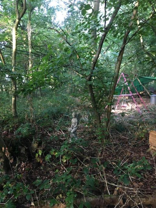 Magical Forest Yurt Sturry Eksteriør bilde