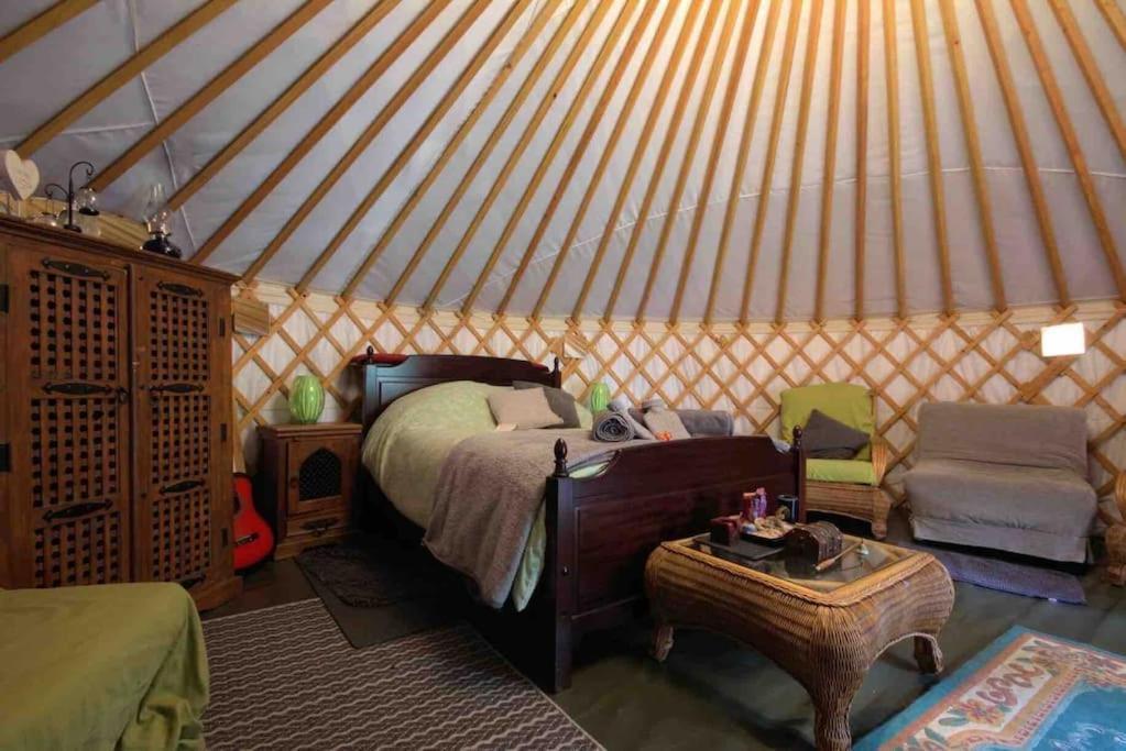 Magical Forest Yurt Sturry Eksteriør bilde