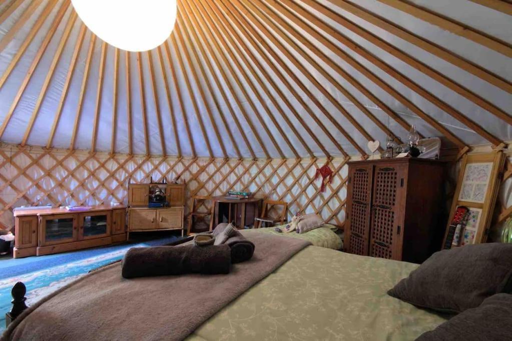 Magical Forest Yurt Sturry Eksteriør bilde