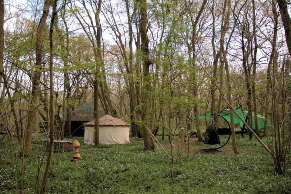 Magical Forest Yurt Sturry Eksteriør bilde
