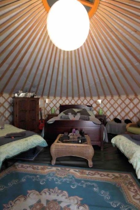 Magical Forest Yurt Sturry Eksteriør bilde