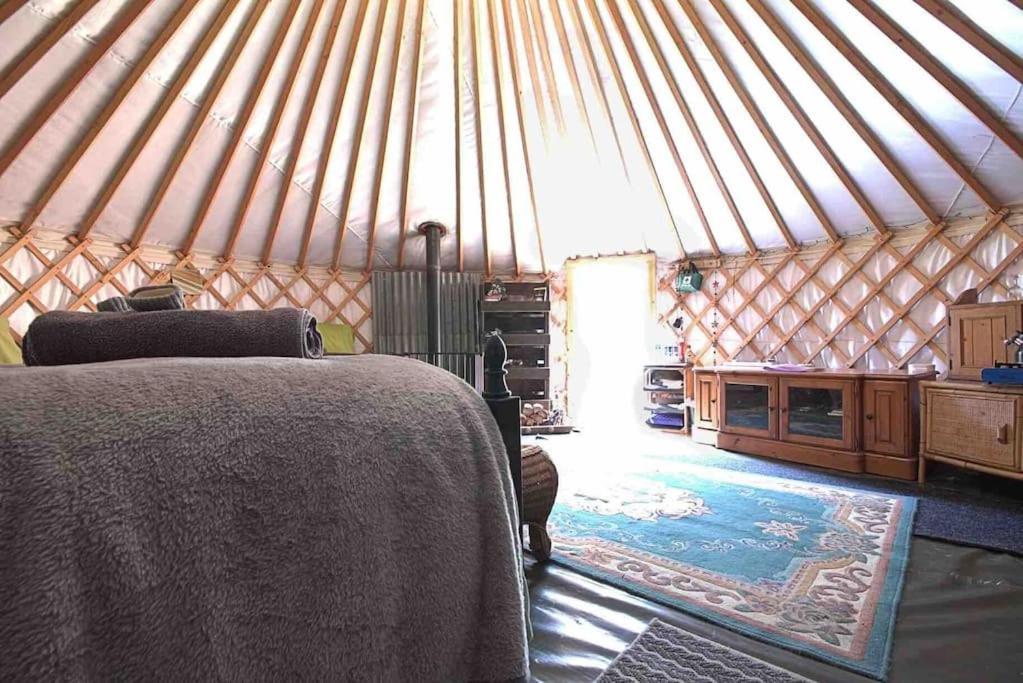 Magical Forest Yurt Sturry Eksteriør bilde
